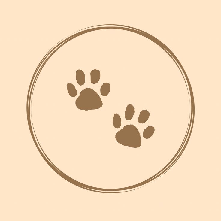 b8cb1b31 f557 4a23 aff2 743436795bee