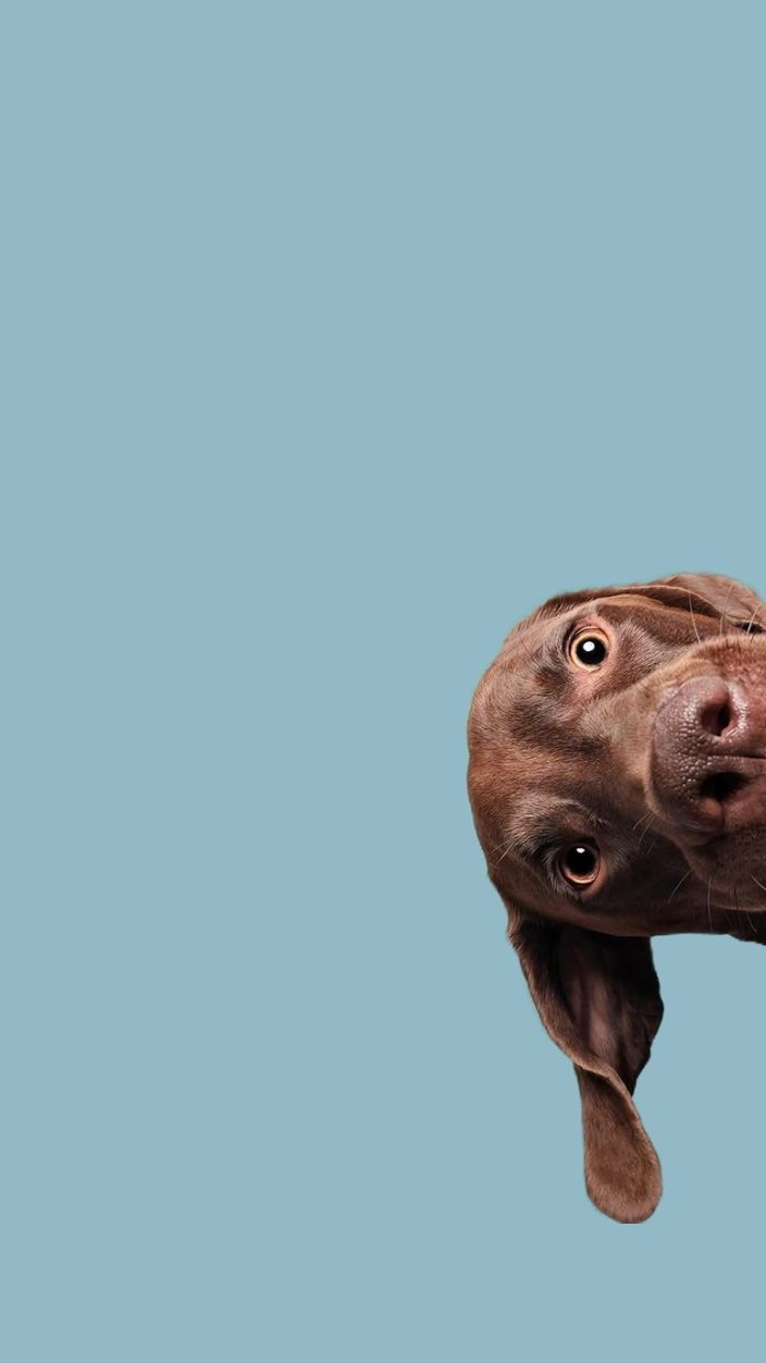 e42c37c4 6e53 415a 851e 4d17d70537ec